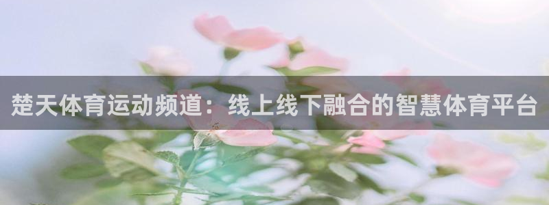 楚天体育运动频道：线上线下融合的智慧体育平台