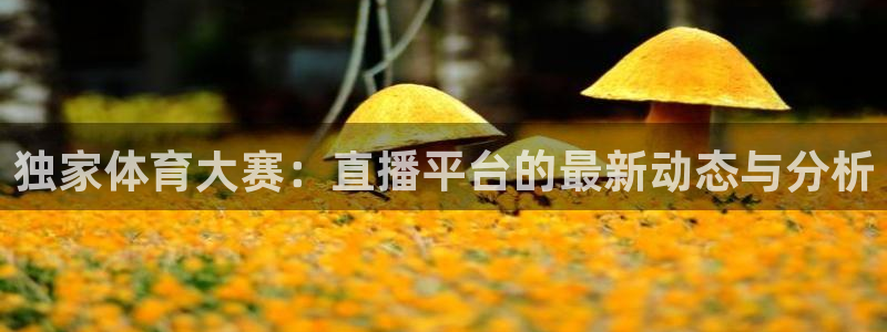 独家体育大赛：直播平台的最新动态与分析