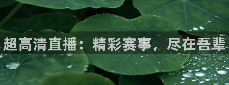 超高清直播：精彩赛事，尽在吾辈