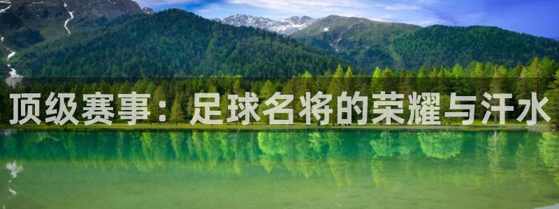 顶级赛事：足球名将的荣耀与汗水