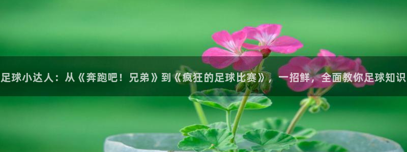 足球小达人：从《奔跑吧！兄弟》到《疯狂的足球比赛》，一招鲜，全面教你足球知识