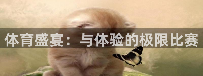 体育盛宴：与体验的极限比赛