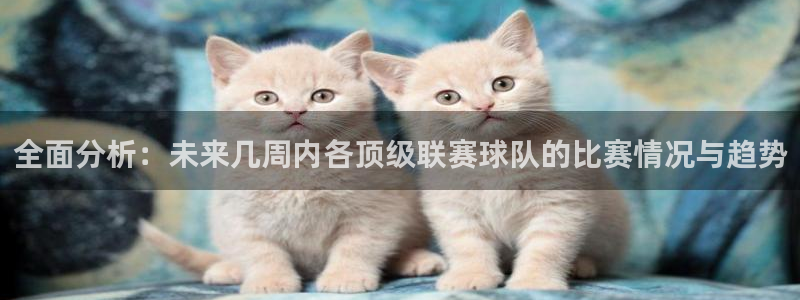 全面分析：未来几周内各顶级联赛球队的比赛情况与趋势