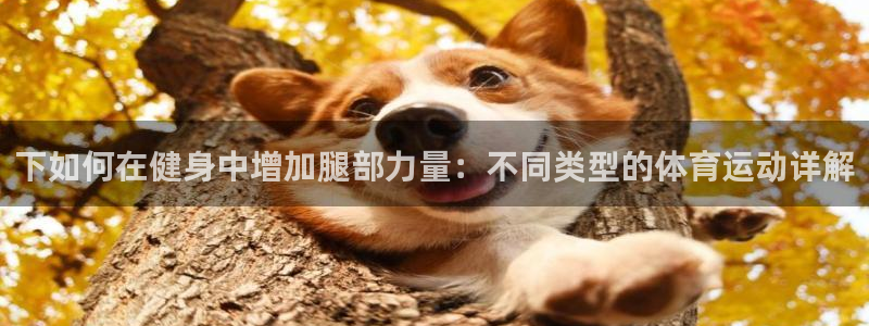下如何在健身中增加腿部力量：不同类型的体育运动详解