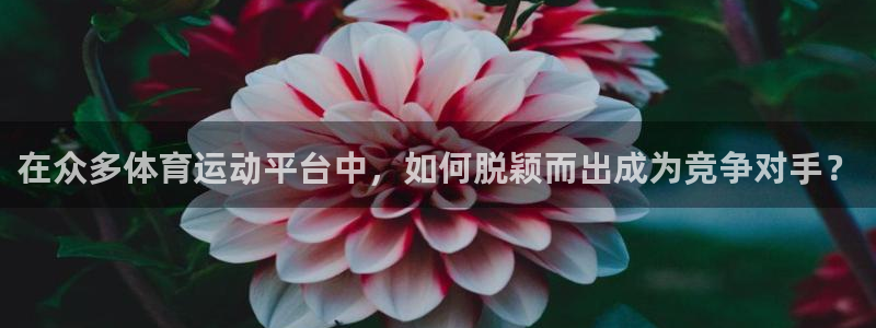 在众多体育运动平台中，如何脱颖而出成为竞争对手？