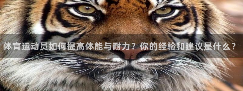 体育运动员如何提高体能与耐力？你的经验和建议是什么？