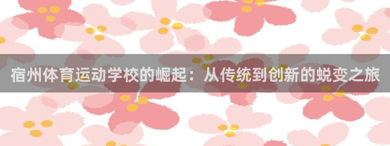 宿州体育运动学校的崛起：从传统到创新的蜕变之旅