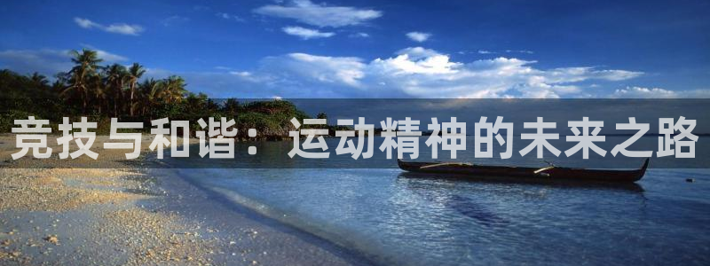 竞技与和谐：运动精神的未来之路