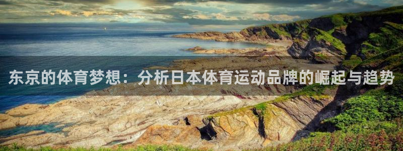 东京的体育梦想：分析日本体育运动品牌的崛起与趋势