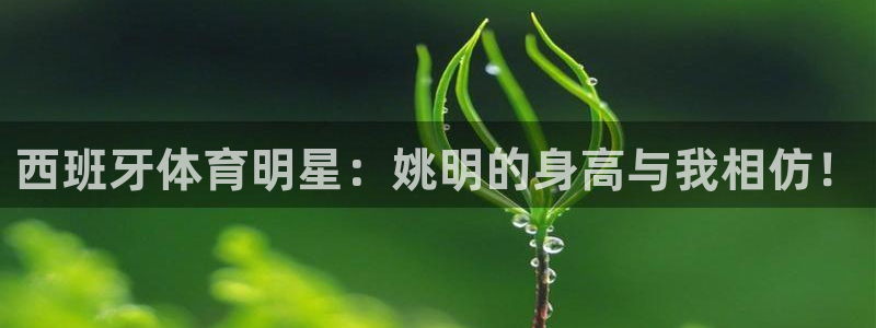 西班牙体育明星：姚明的身高与我相仿！