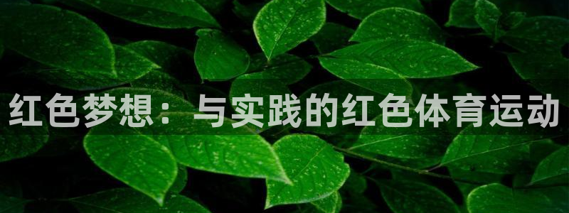 红色梦想：与实践的红色体育运动