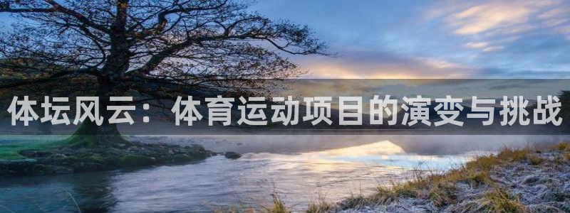 体坛风云：体育运动项目的演变与挑战