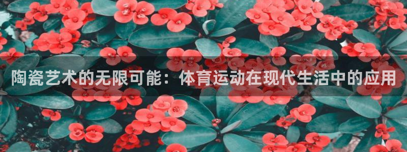 陶瓷艺术的无限可能：体育运动在现代生活中的应用