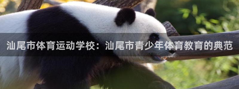 汕尾市体育运动学校：汕尾市青少年体育教育的典范