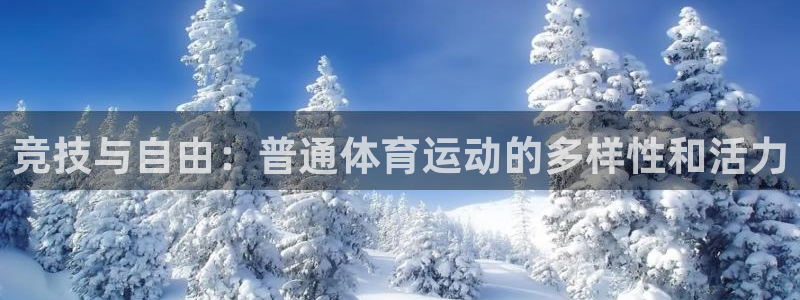 竞技与自由：普通体育运动的多样性和活力