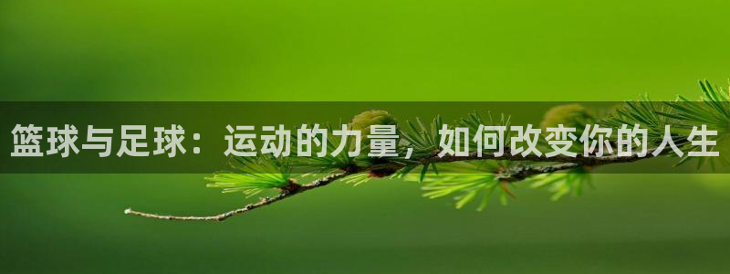 篮球与足球：运动的力量，如何改变你的人生