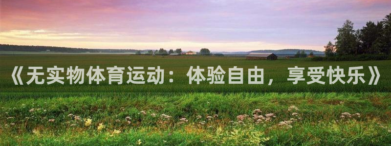 《无实物体育运动：体验自由，享受快乐》