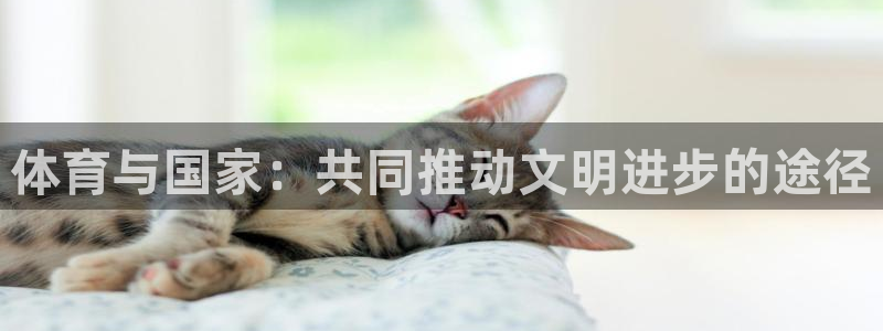 体育与国家：共同推动文明进步的途径