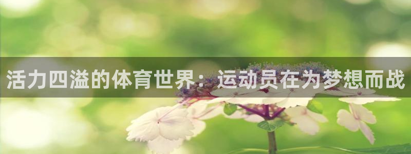 活力四溢的体育世界：运动员在为梦想而战