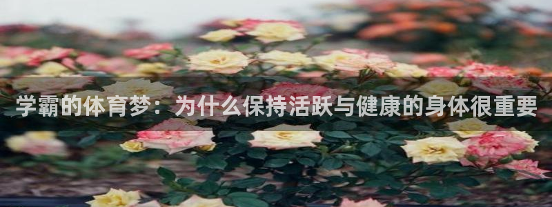 学霸的体育梦：为什么保持活跃与健康的身体很重要