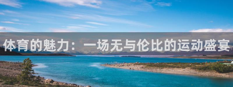 体育的魅力：一场无与伦比的运动盛宴