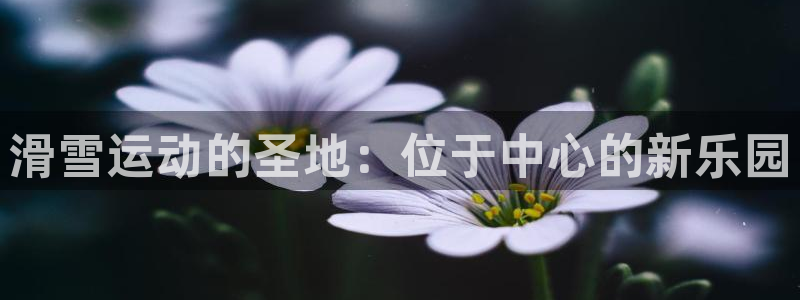 滑雪运动的圣地：位于中心的新乐园