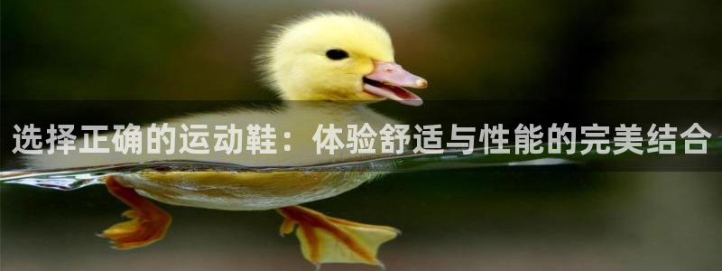 选择正确的运动鞋：体验舒适与性能的完美结合