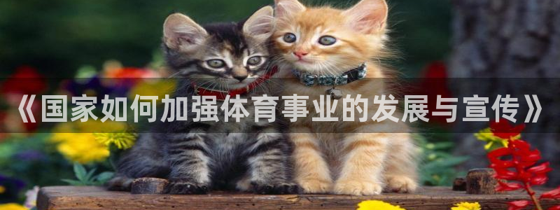 《国家如何加强体育事业的发展与宣传》