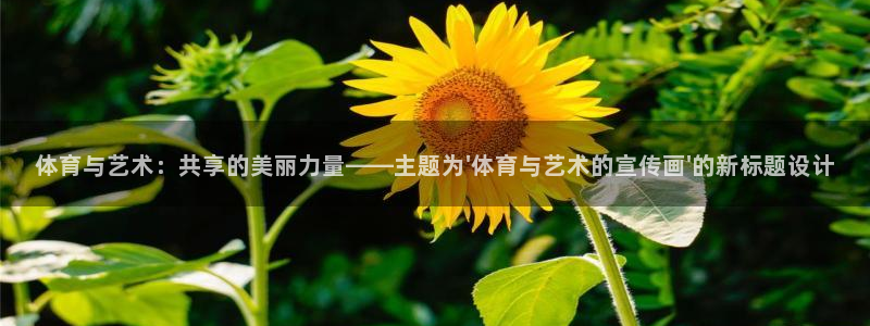 体育与艺术：共享的美丽力量——主题为\'体育与艺术的宣传画\'的新标题设计