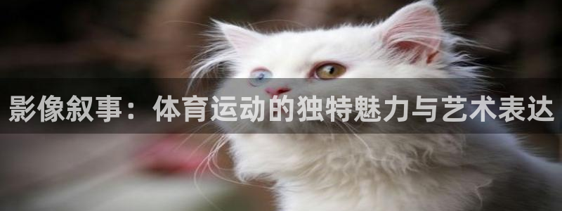 影像叙事：体育运动的独特魅力与艺术表达