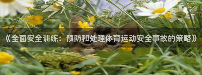 《全面安全训练：预防和处理体育运动安全事故的策略》