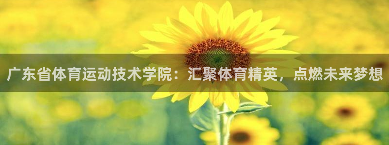 广东省体育运动技术学院：汇聚体育精英，点燃未来梦想