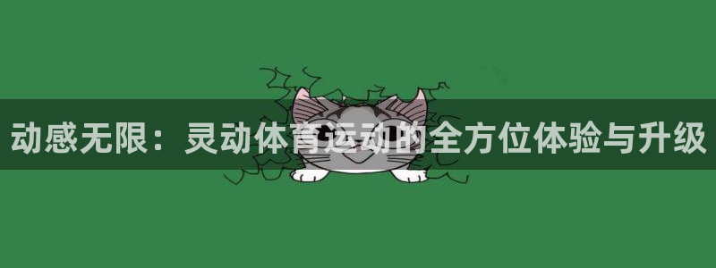 动感无限：灵动体育运动的全方位体验与升级