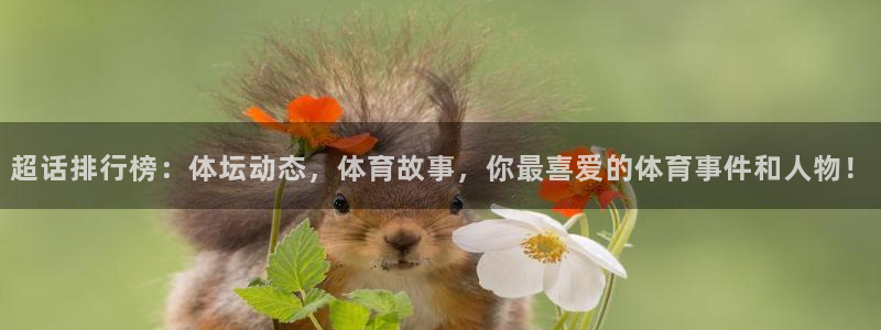 超话排行榜：体坛动态，体育故事，你最喜爱的体育事件和人物！