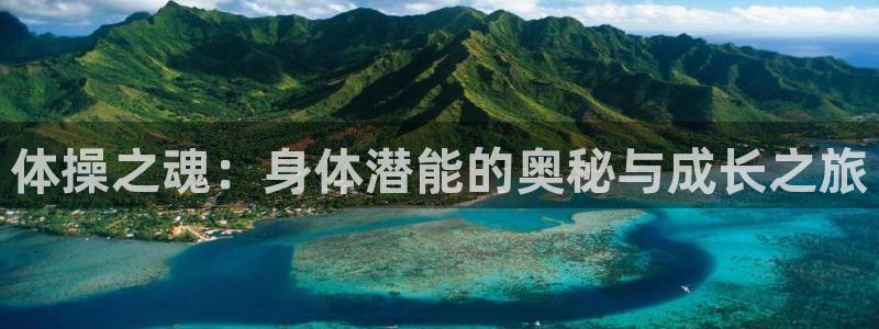 体操之魂：身体潜能的奥秘与成长之旅