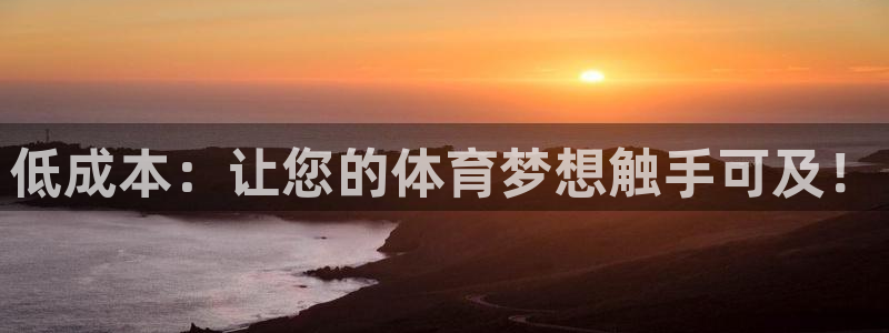 低成本：让您的体育梦想触手可及！
