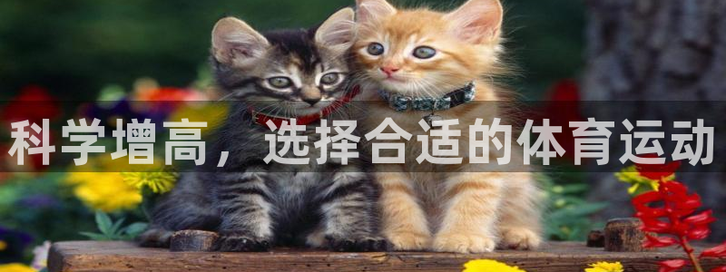 科学增高，选择合适的体育运动