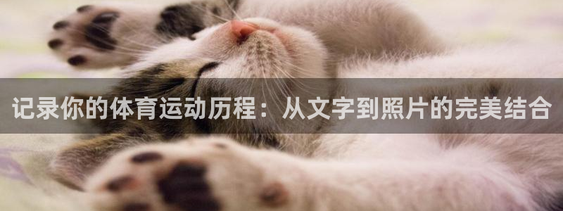 记录你的体育运动历程：从文字到照片的完美结合