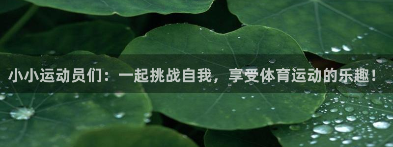 小小运动员们：一起挑战自我，享受体育运动的乐趣！