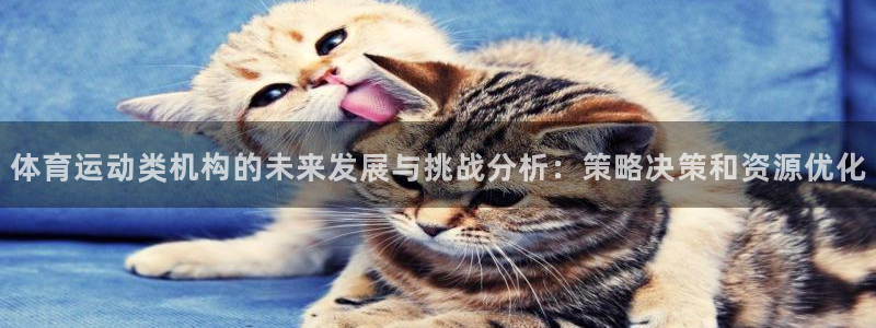 体育运动类机构的未来发展与挑战分析：策略决策和资源优化