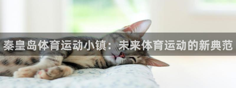 秦皇岛体育运动小镇：未来体育运动的新典范