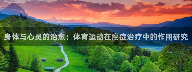 身体与心灵的治愈：体育运动在癌症治疗中的作用研究