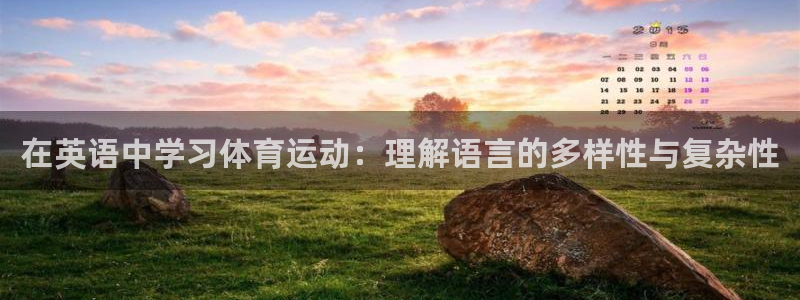 在英语中学习体育运动：理解语言的多样性与复杂性