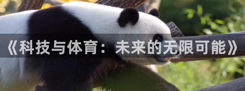 《科技与体育：未来的无限可能》