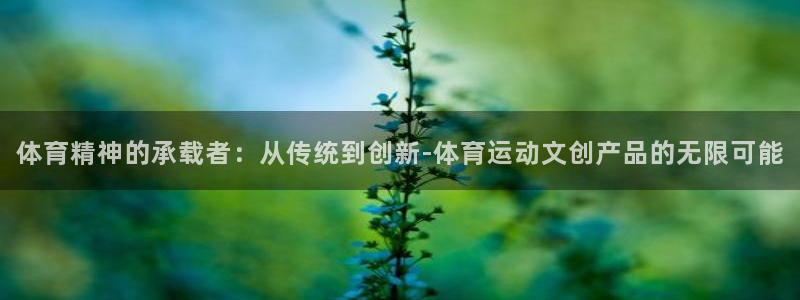 体育精神的承载者：从传统到创新-体育运动文创产品的无限可能