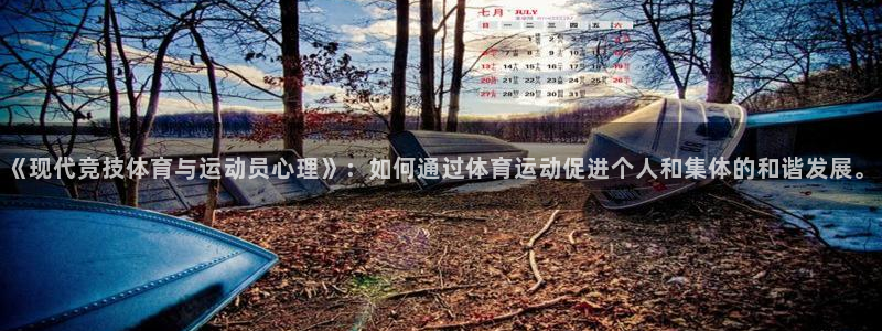 《现代竞技体育与运动员心理》：如何通过体育运动促进个人和集体的和谐发展。
