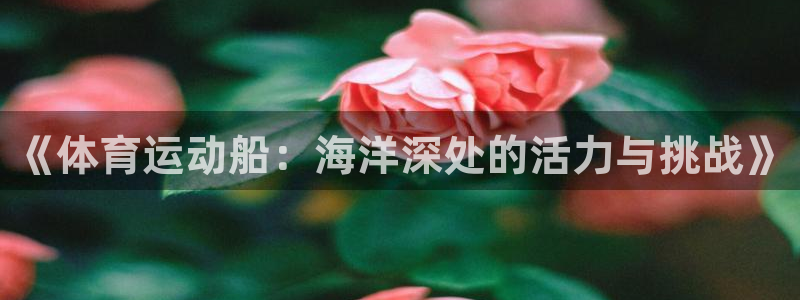 《体育运动船：海洋深处的活力与挑战》