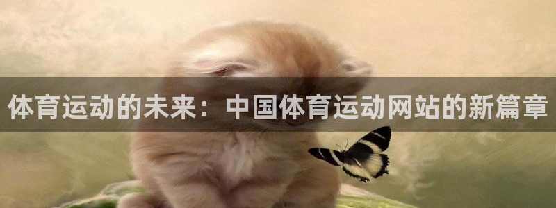 体育运动的未来：中国体育运动网站的新篇章
