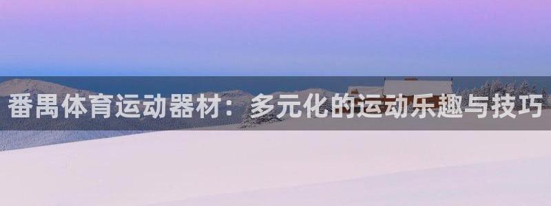 番禺体育运动器材：多元化的运动乐趣与技巧