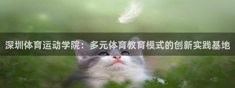 深圳体育运动学院：多元体育教育模式的创新实践基地